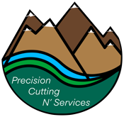 Precision Cutting N' Services